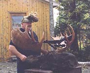 Newfoundland moose hunting @ Ocean Side Country Lodge