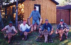 With a 90% success rate, it is no wonder that Newfoundland moose hunting is so popular
