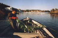Bag your moose early?  There is always something to do to enjoy your stay