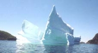 Whales and Icebergs Await @ Ocean Side Country Lodge